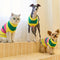 Color Blocked Striped Dachshund Sleeveless Dog Sweater