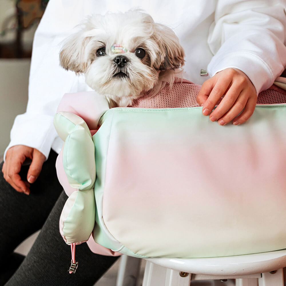 Colorful Fashion PU Leather Waterproof Portable Pet Carrier Bag