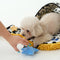 Cow-Print Plush Pet Bed & Matching Slippers Set