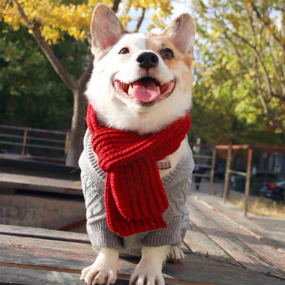 Cozy Knit Soft Warm Adjustable Fit Dog Scarf