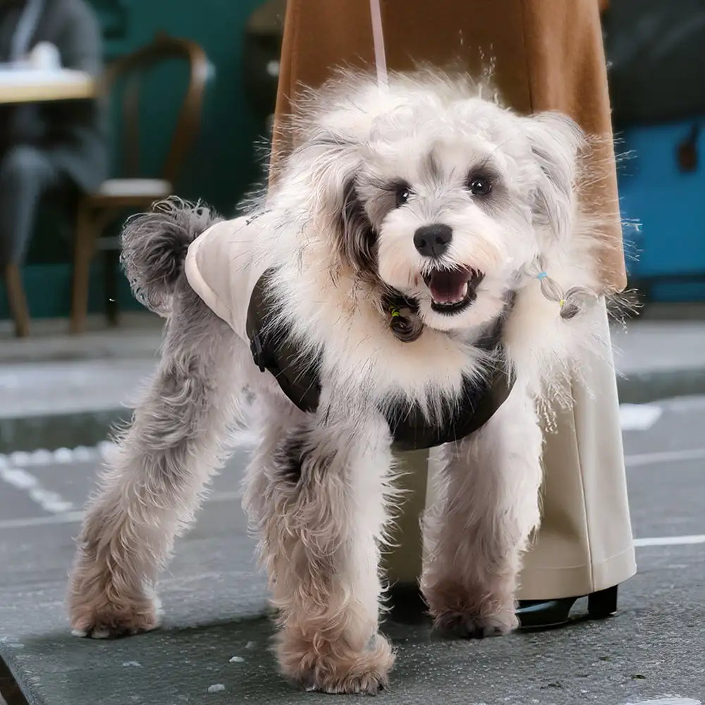 Fur-Trim Hooded Warm Dog Coat with Leash Buckle