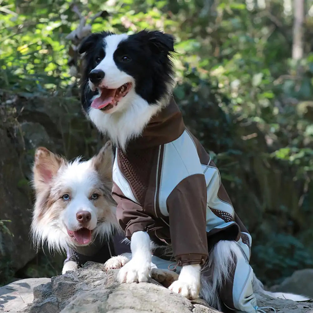 Multi-Functional Waterproof Windproof Dog Windbreaker Coat for Medium & Large Dogs