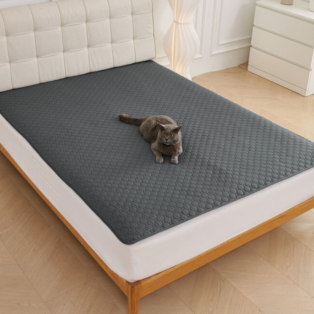 Multi-Purpose Absorbent Leakproof Washable Pet Mat for Sofa and Bed