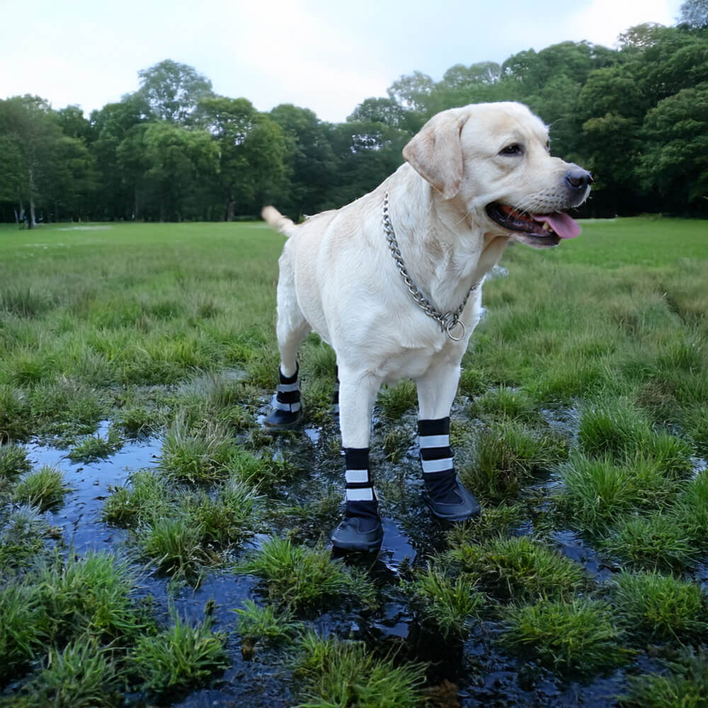 Outdoor Waterproof Warm Durable Reflective Dog Boots