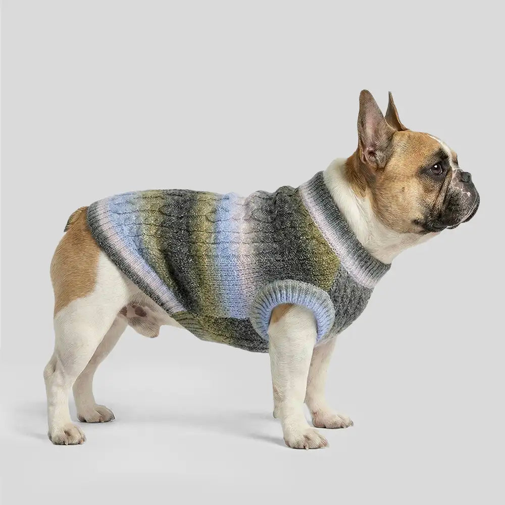Soft Warm Thick-Knitted Dog Sweater – Designed For Dachshunds, French Bulldogs & Pugs