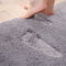 Thick Plush Absorbent Mud-Resistant Pet Door Mat for Dirty Paws