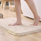 Thick Plush Absorbent Mud-Resistant Pet Door Mat for Dirty Paws