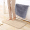 Thick Plush Absorbent Mud-Resistant Pet Door Mat for Dirty Paws