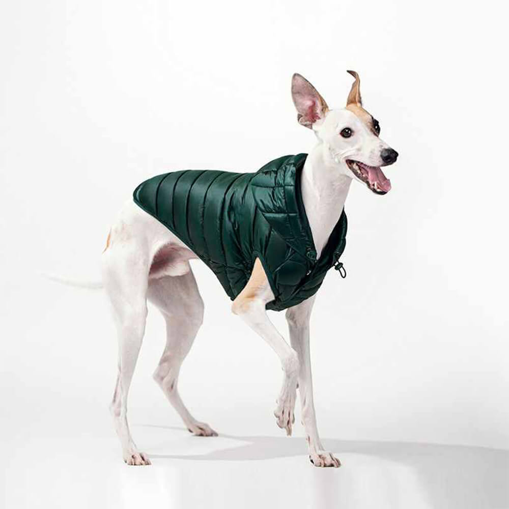 Trendy Lightweight Warm Dog Hooded Vest with D-Ring Leash