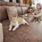 Vintage Waterproof Faux Leather Stretch Magic Couch Cover