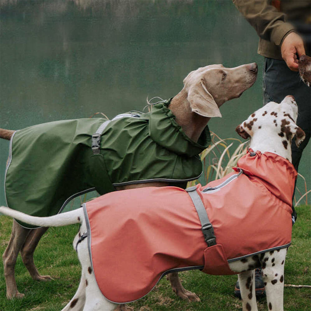 Adjustable Turtleneck Reflective Jacket Dog Human Matching Raincoat