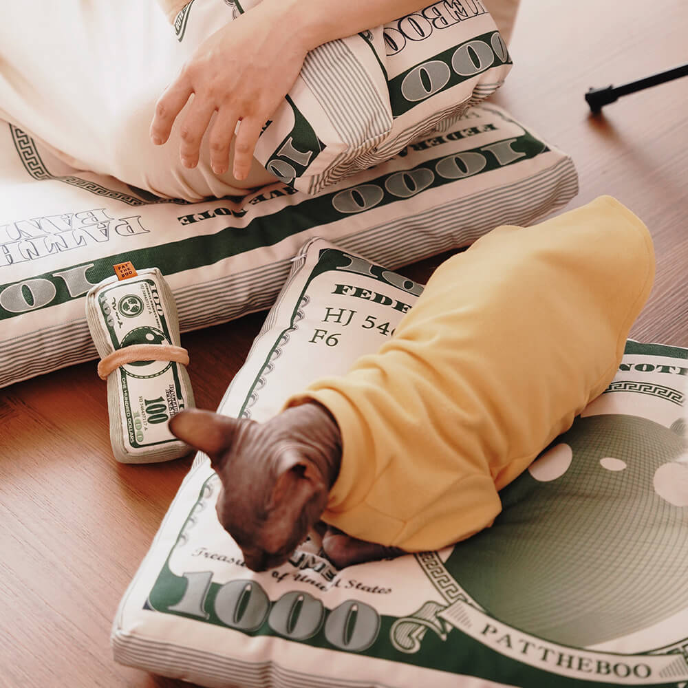 Durable Canvas Money-Themed Cat Bed