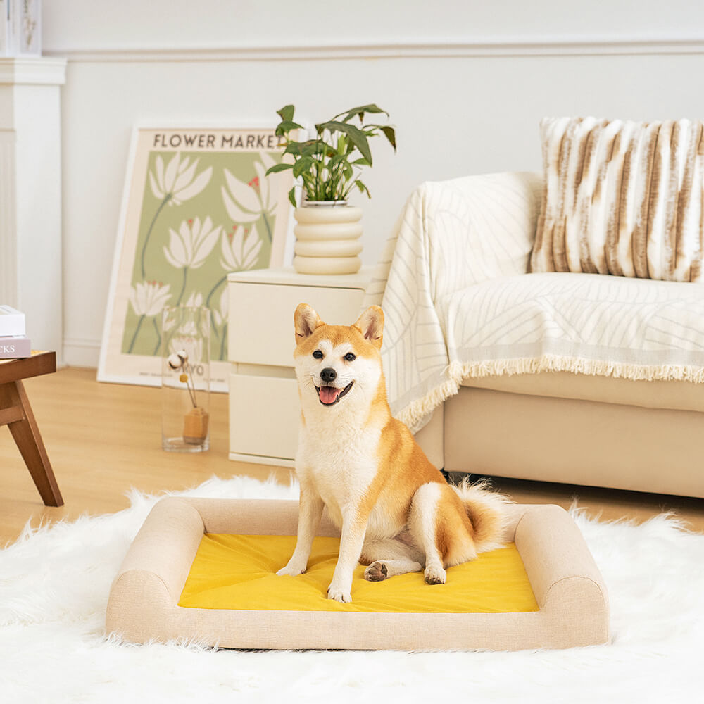 Cama ortopédica confortável para cães com suporte total