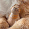 Multi-Pack Mini Pet Hair Capsule Keychain Charm for Dog & Cat Lovers