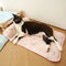 Ocean Series Ice Silk Breathable Cooling Dog Mat with Pillow
