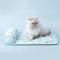Ocean Series Ice Silk Breathable Cooling Dog Mat with Pillow