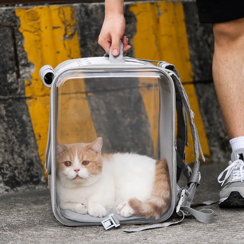 Carrinho para animais de estimação de dupla finalidade, mochila transparente para gatos com roda silenciosa