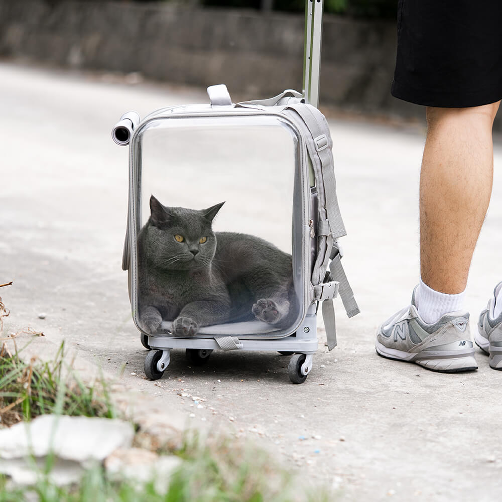 Carrinho para animais de estimação de dupla finalidade, mochila transparente para gatos com roda silenciosa