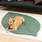 Cobertor para cães com formato de folha super grande
