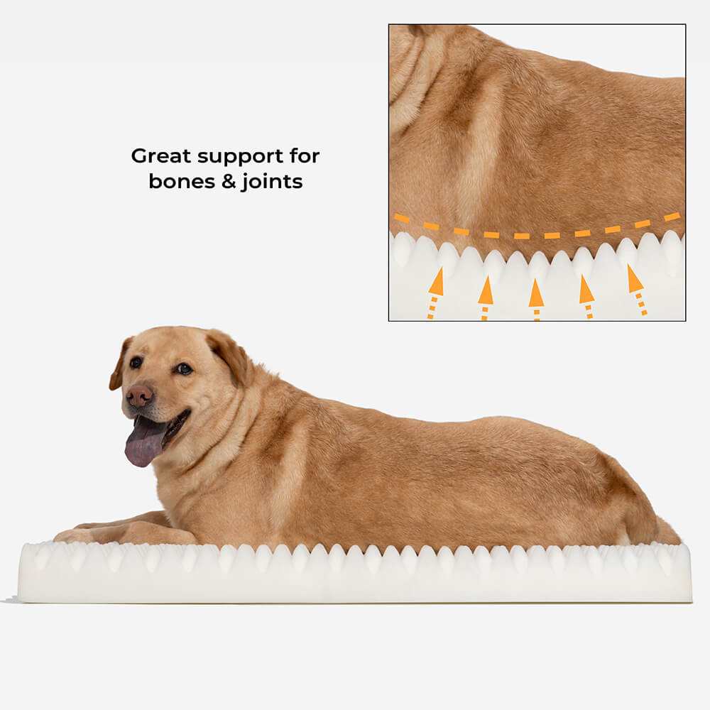 Ultimate Cozy Plush Extra Large Sleep Cama ortopédica mais profunda Cama para cachorro humano