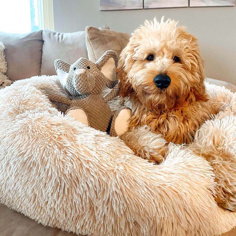 Cama redonda felpuda e fofa para cachorro