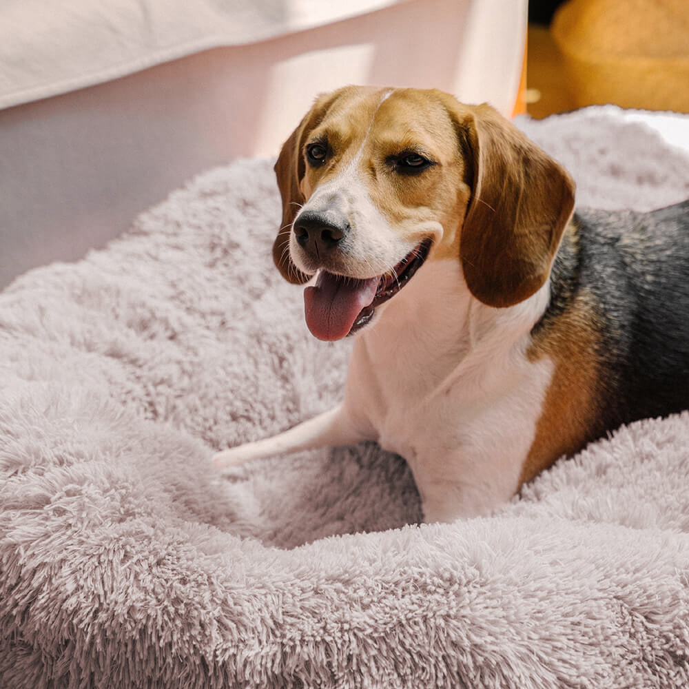 Cama redonda felpuda e fofa para cachorro