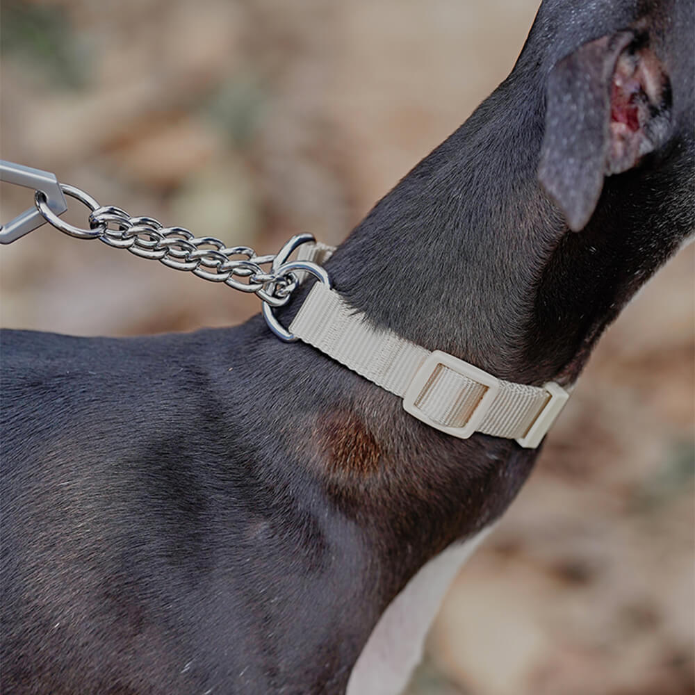 Chain Reaction Anti-Pull Martingale Dog Training Collar