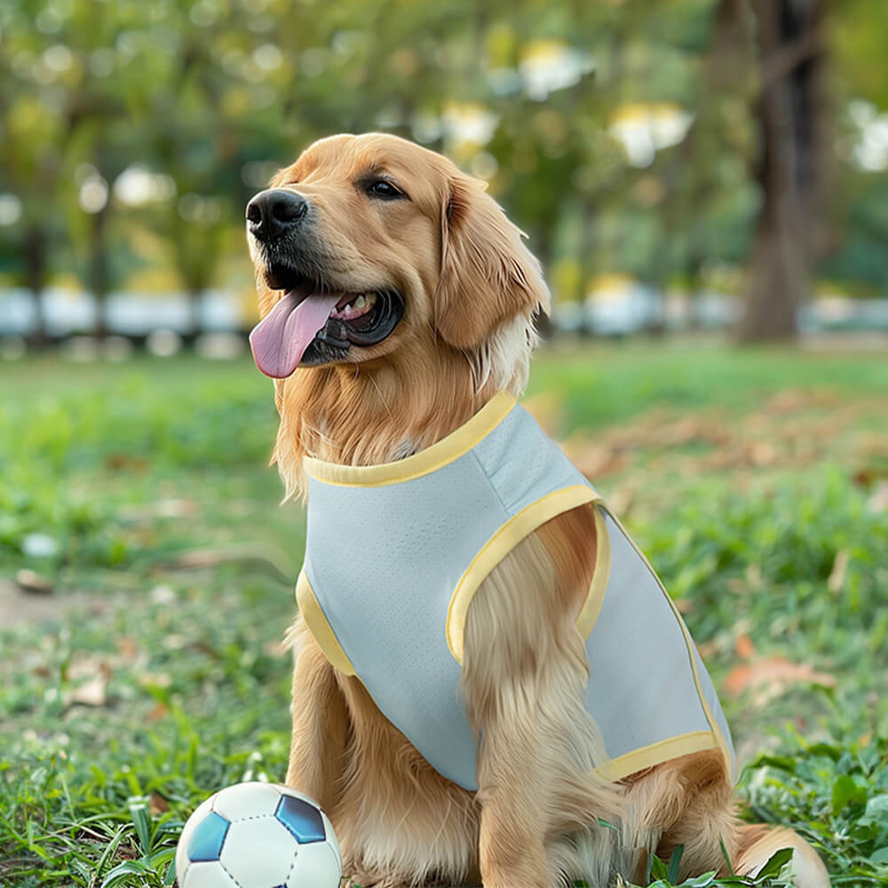 Roupas para cães com resfriamento de seda gelada Colete para cães com proteção contra queimaduras solares