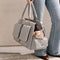 Large Carrying Stylish Multi-Functional Human-Cat Shared Travel Cat Bag - Wandering Tail