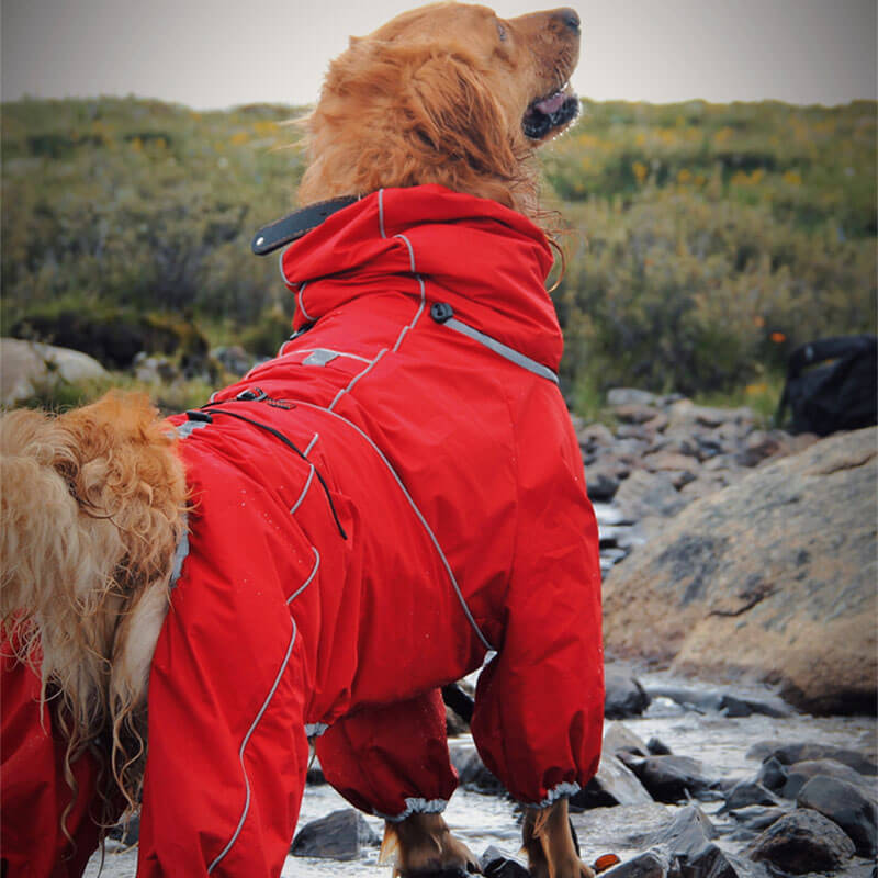 Jaqueta grande para cachorro ao ar livre Capa de chuva ajustável à prova d'água para cachorro