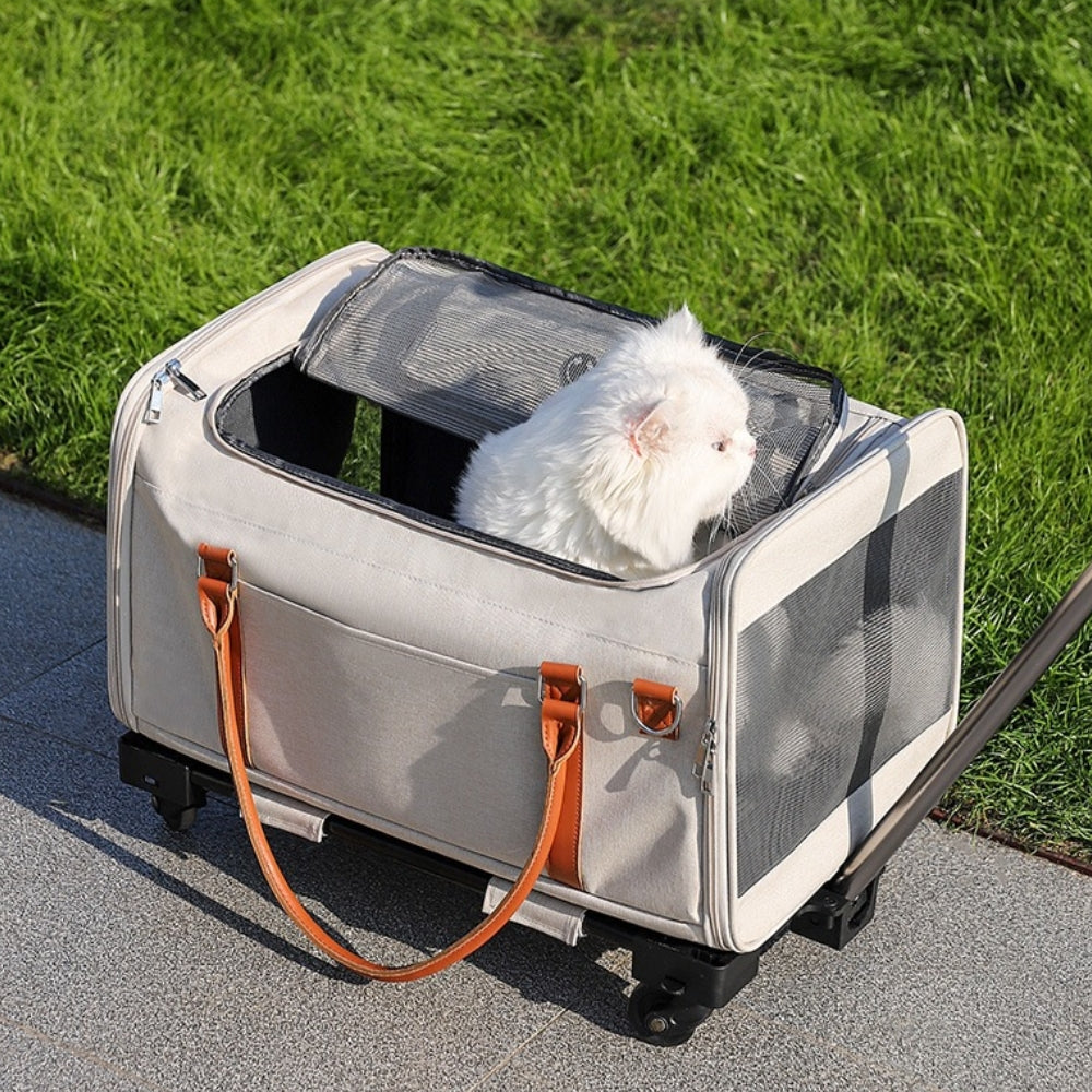 Multifunctional 2-In-1 Detachable Trolley with Wheels Portable Pet Carrier Bag