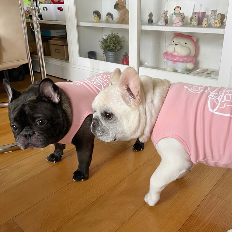 Conjunto de camisetas e colete rosa combinando para cachorro e dono