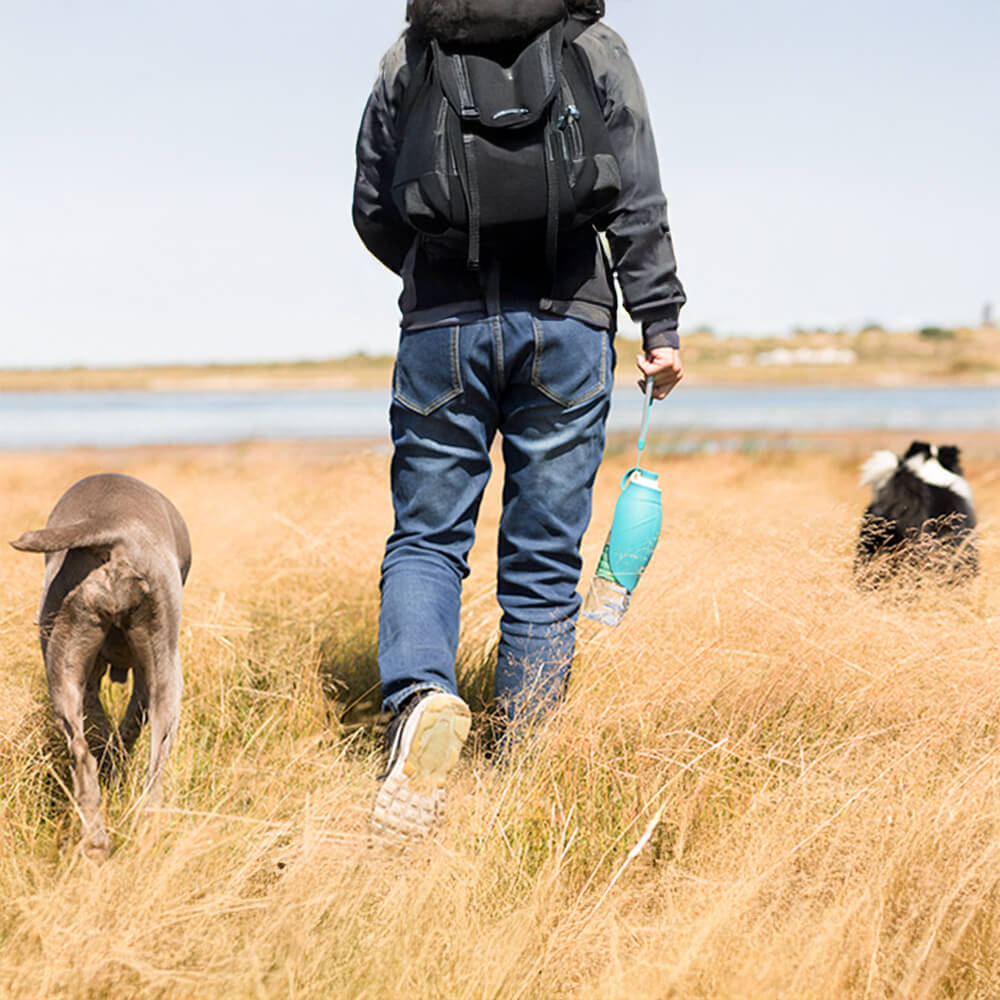 Portable Leaf-Shaped Outdoor Travel Water Dispenser Dog Water Bottle