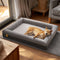 Sono feliz da cama ortopédica superior do cão com jogo alegre que escava a cama