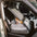 Waterproof Breathable Dog Booster Car Seat- Pup Rover