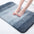 Thick Absorbent Non-Slip Quick-Dry Door Mat for Pets & Muddy Paws