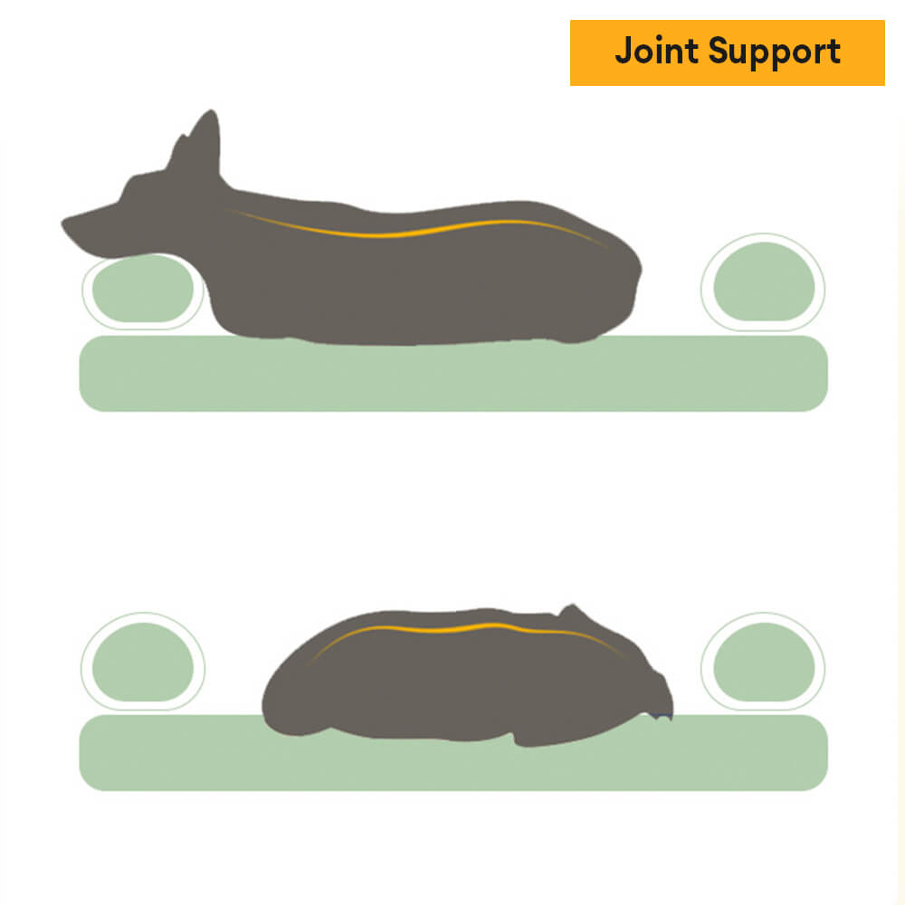 Spacious Cozy Durable Orthopedic Washable Dog & Cat Bed