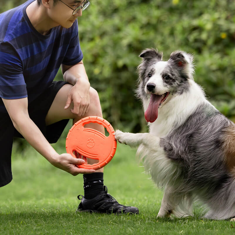 Disco voador interativo para cachorro, brinquedo de borracha para volante