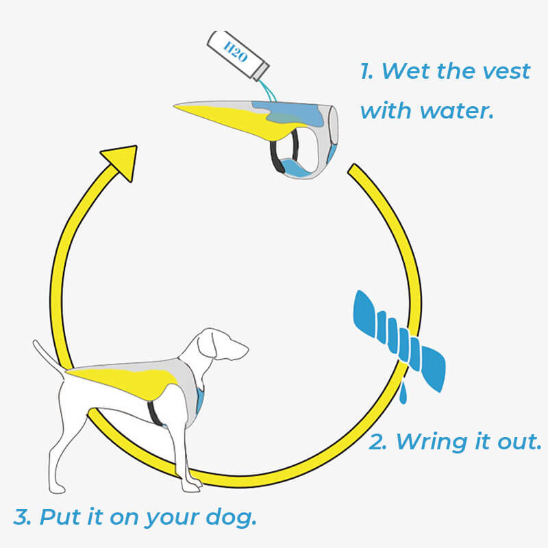 Colete de resfriamento respirável com proteção solar, jaqueta legal para cães, acessórios, colete de resfriamento