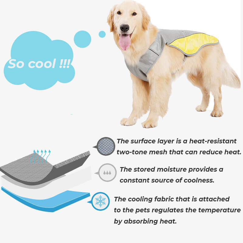 Colete de resfriamento respirável com proteção solar, jaqueta legal para cães, acessórios, colete de resfriamento