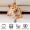 Teething Bones Dog Chew Toy - Bacon-Flavored