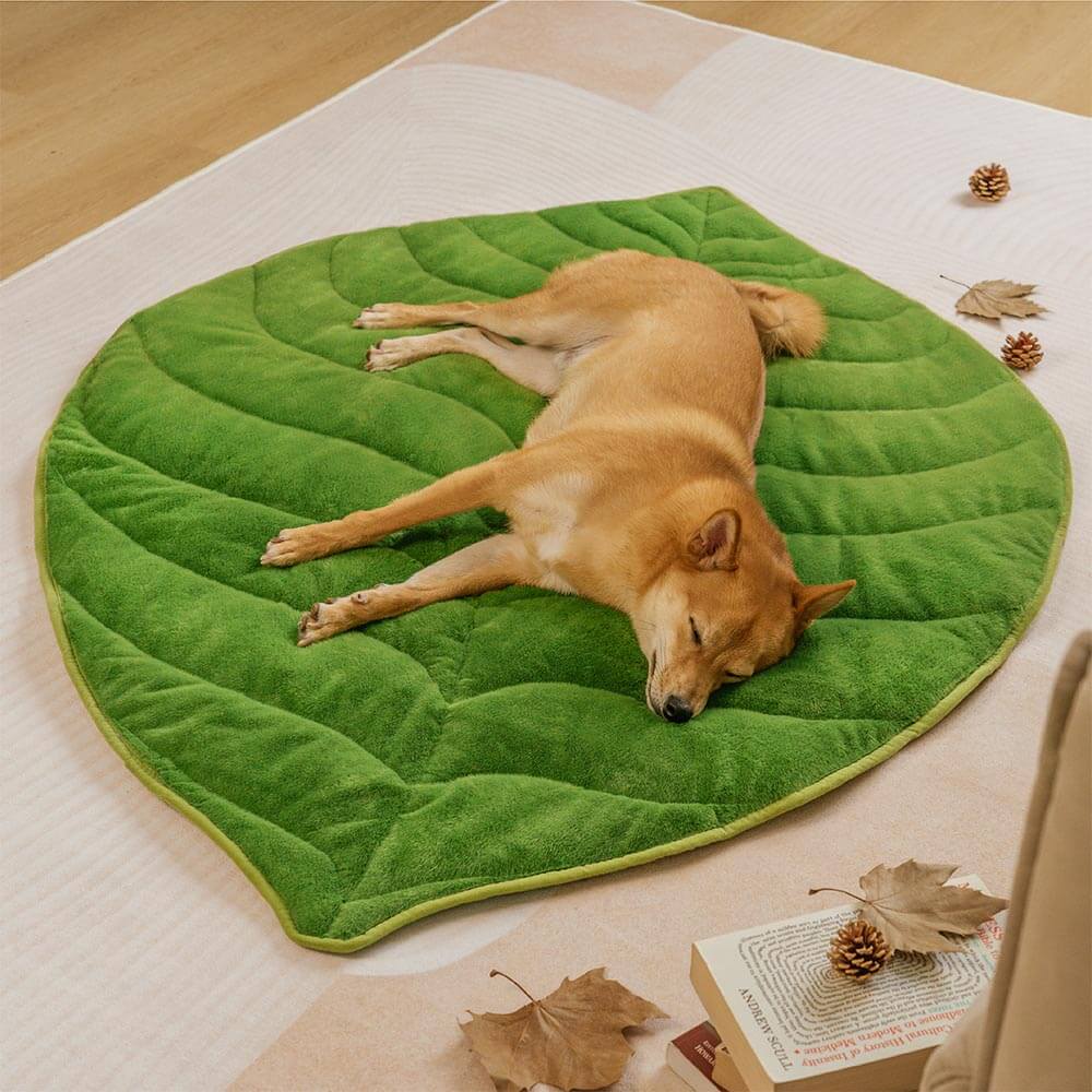 Plush Leaf-Shaped Washable Dog Mat-The Leaf Collector