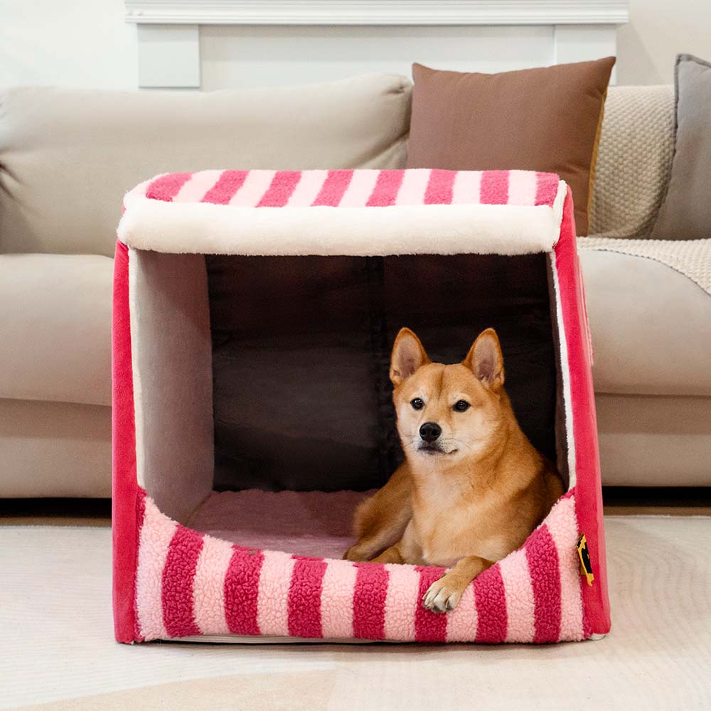 Trendy Striped House Orthopedic Dog Bed - Cozy Hideaway