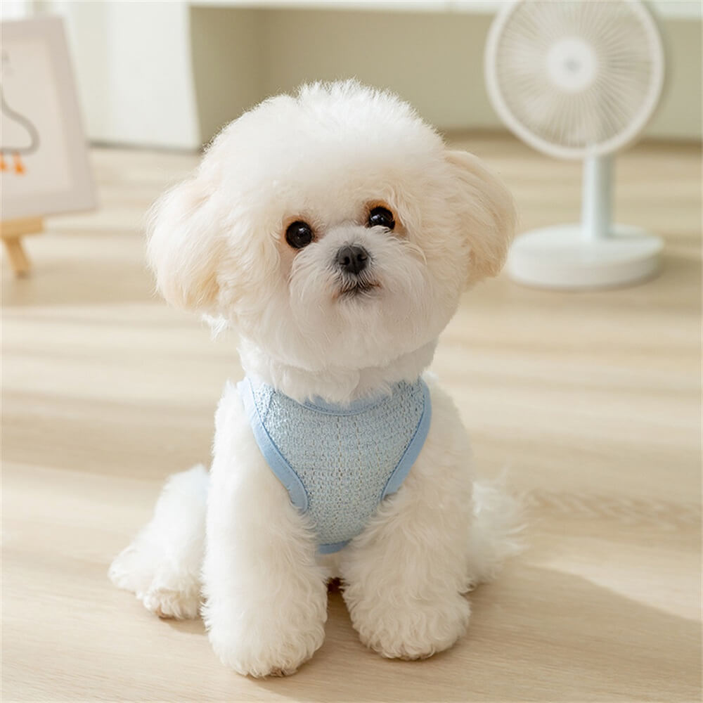 Breathable bear patch traction pet clothing two-leg vest dog cat summer clothes