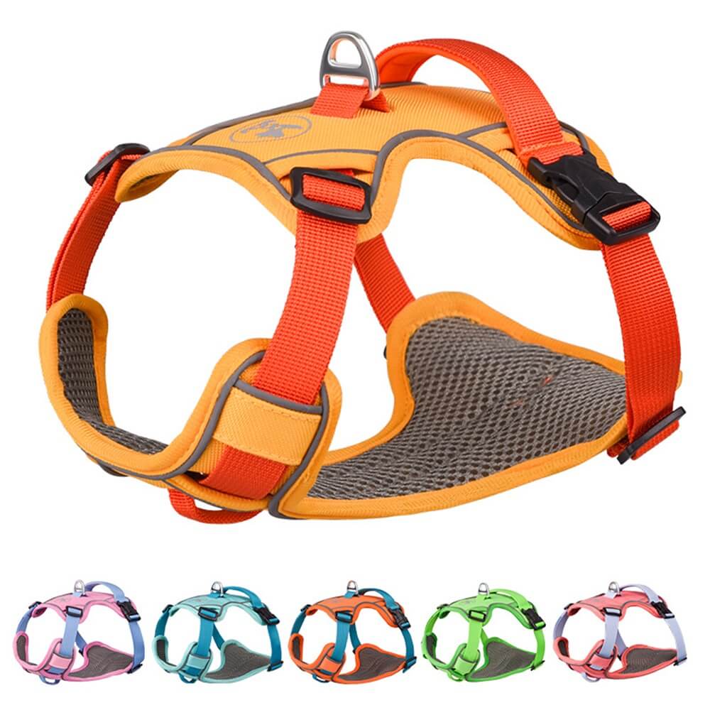 Contrast Color Explosion-Proof Dog Leash and Reflective Vest Harness