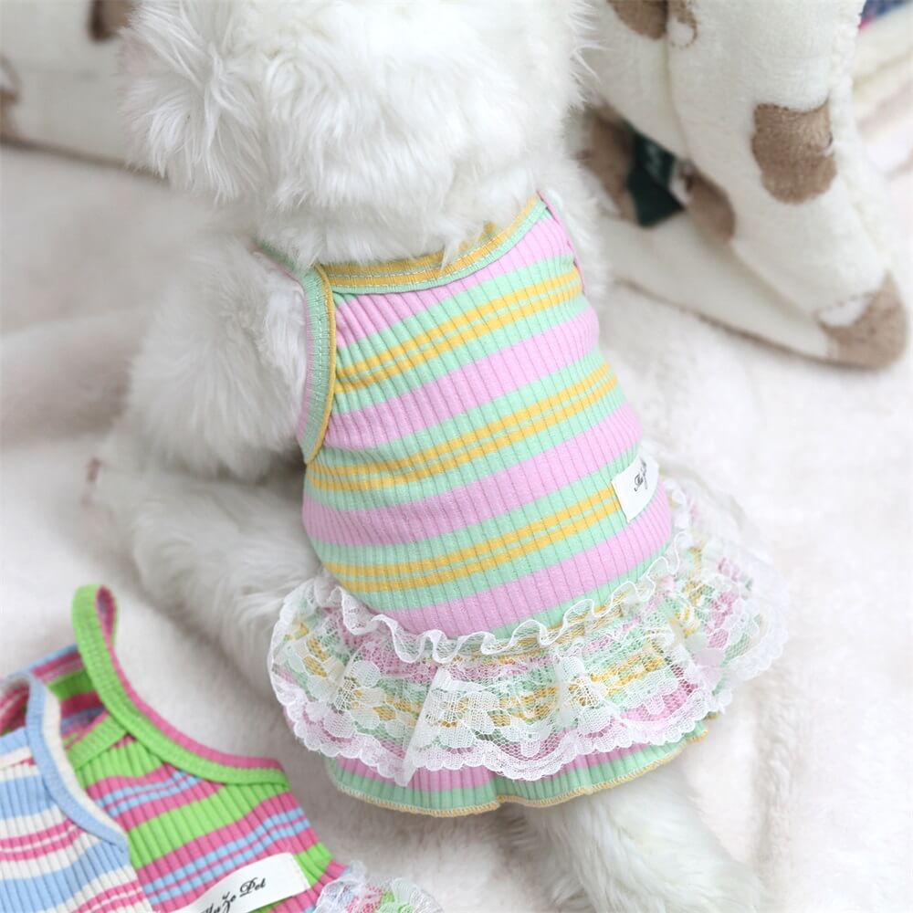 Spring Summer New Lace Trim Halter Dress Pet Clothes