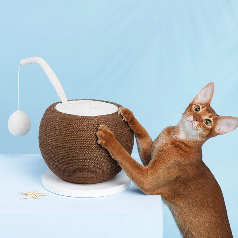 Afiadores de garras para tábua de arranhar Coconut Cat