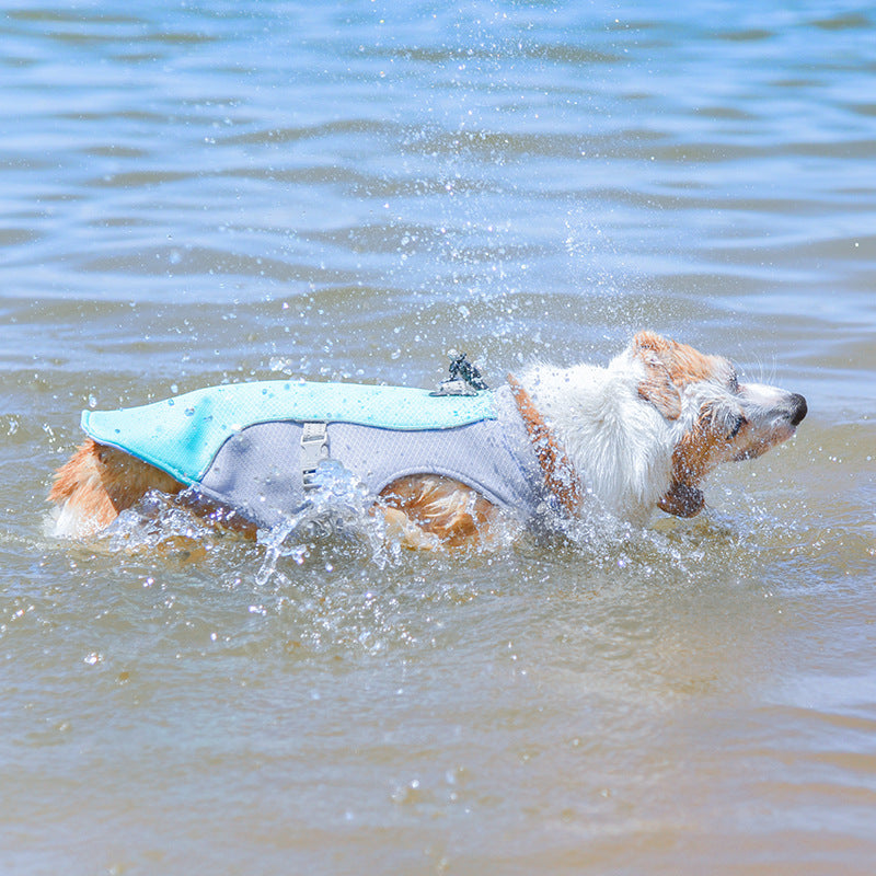 Colete respirável para prevenção de insolação Colete de resfriamento para cães embebido em água