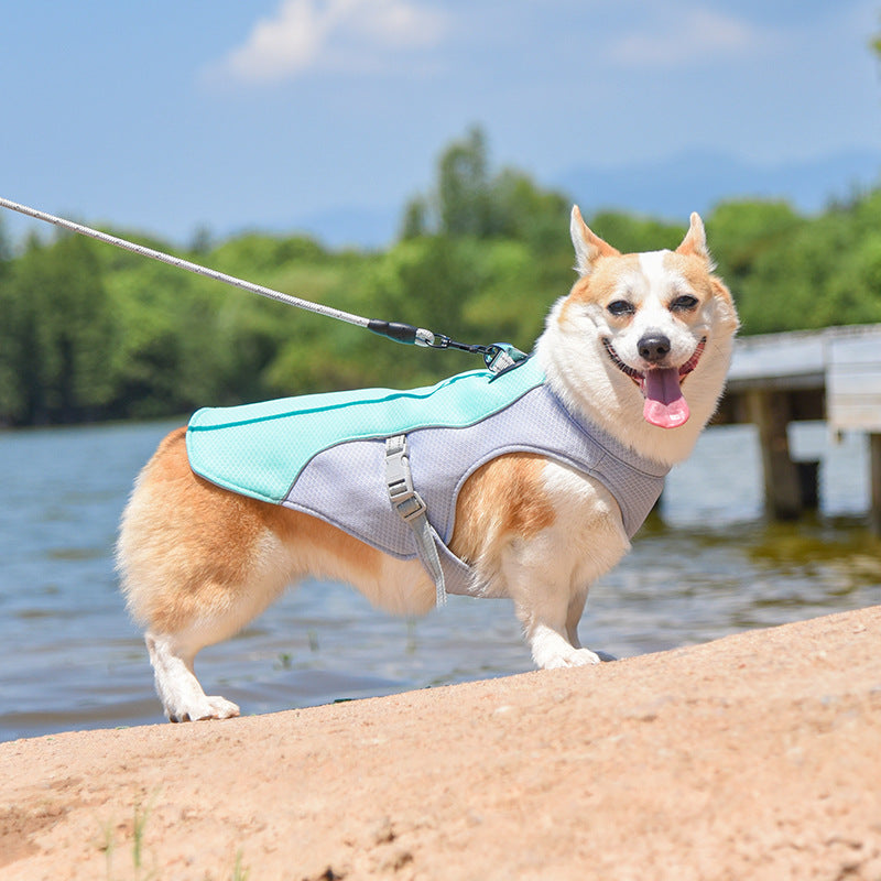 Colete respirável para prevenção de insolação Colete de resfriamento para cães embebido em água