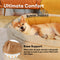 Cama ortopédica para cachorro donut